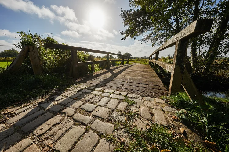 Brücke.webp Brücke.webp