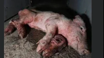 1638093312401.png 1638093312401.png