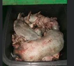 1638093360887.png 1638093360887.png