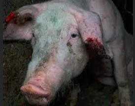 1638093414411.png 1638093414411.png