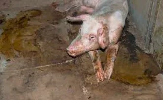 1638093445238.png 1638093445238.png