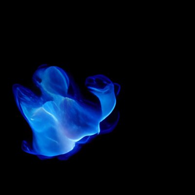 blue flame-fractal macro -iStock -4.jpg