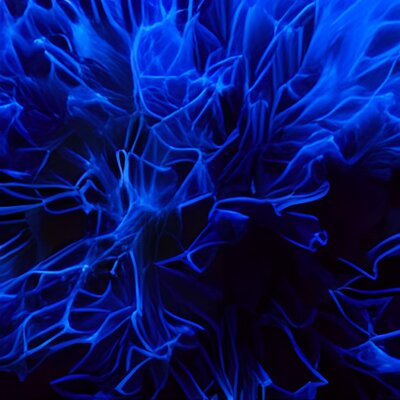 blue flame-fractal macro -iStock -3.jpg
