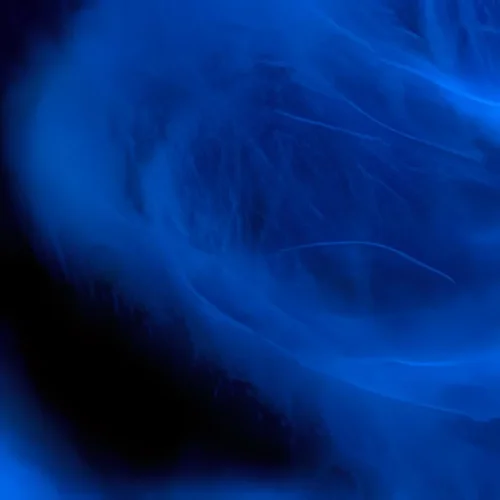blue flame-fractal macro -iStock -2.webp
