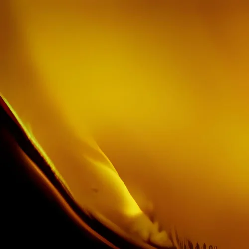 green flame-fractal macro -iStock -9.webp