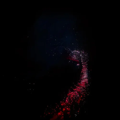 HD Pflanzen-Fraktal -iStock -3.jpg