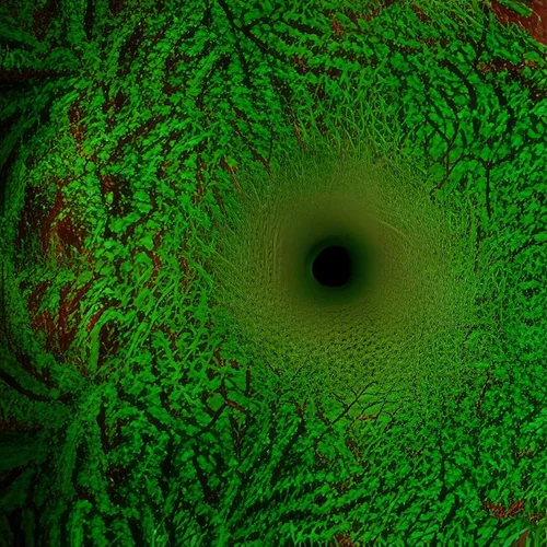 HD Pflanzen-Fraktal -iStock -1.jpg