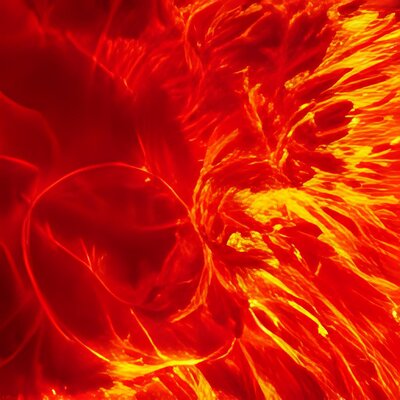 red flame-fractal macro -iStock -5.jpg