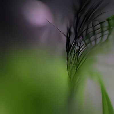 HD Gras-Fraktal  macro -iStock -11.jpg