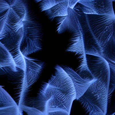 HD ice flowers fractal macro -iStock -9.jpg