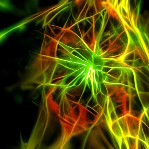 HD visions of fractal-chaos macro -iStock -2.webp