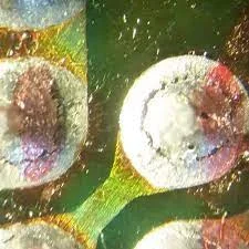 1640360891830.png 1640360891830.png