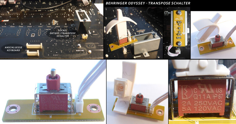 Behringer_Odyssey_Transpose_Schalter.jpg