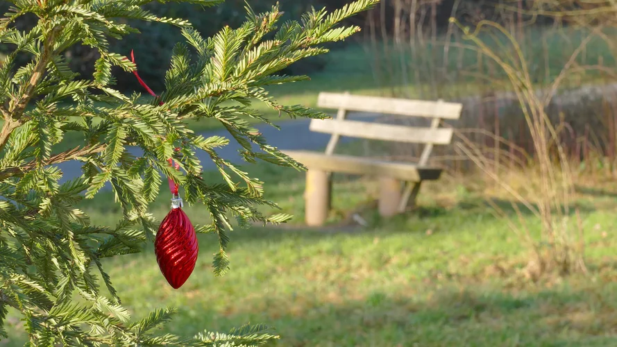 220102_0265_1920x1080.webp 220102_0265_1920x1080.webp