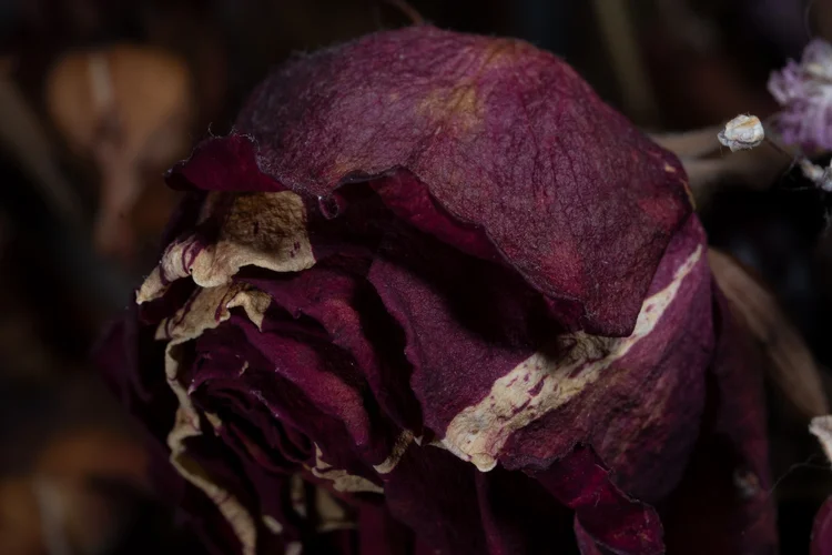 Fehler.jpg Fehler.jpg