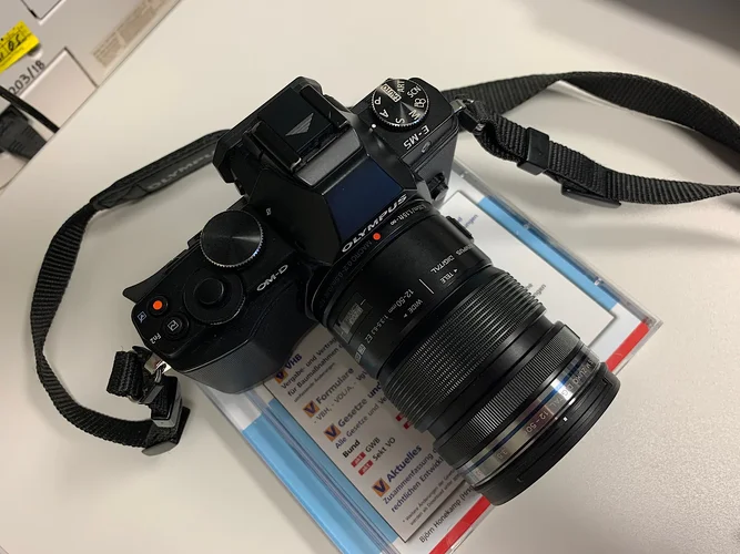 97CBC048-E095-47C9-94CC-12E6572CCB03.webp 97CBC048-E095-47C9-94CC-12E6572CCB03.webp