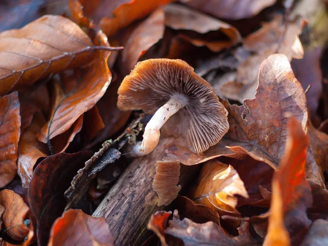 EF609DCB-A6BC-46FD-8903-AF1736719319.webp EF609DCB-A6BC-46FD-8903-AF1736719319.webp