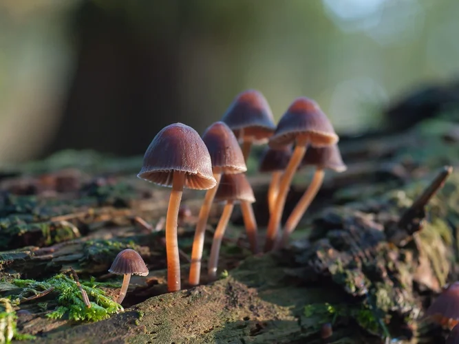 067F0256-6D2C-43CA-A2D1-3771803FFD4D.webp 067F0256-6D2C-43CA-A2D1-3771803FFD4D.webp