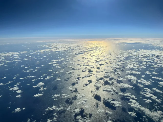 641496EF-8686-40B7-895D-39CF3023C578.jpeg 641496EF-8686-40B7-895D-39CF3023C578.jpeg