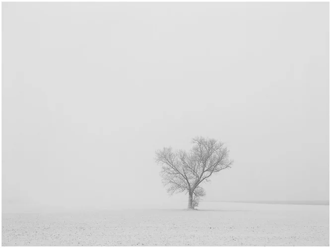 8B46553C-D903-4F9C-A63B-C22DBEA3DF0B.webp 8B46553C-D903-4F9C-A63B-C22DBEA3DF0B.webp