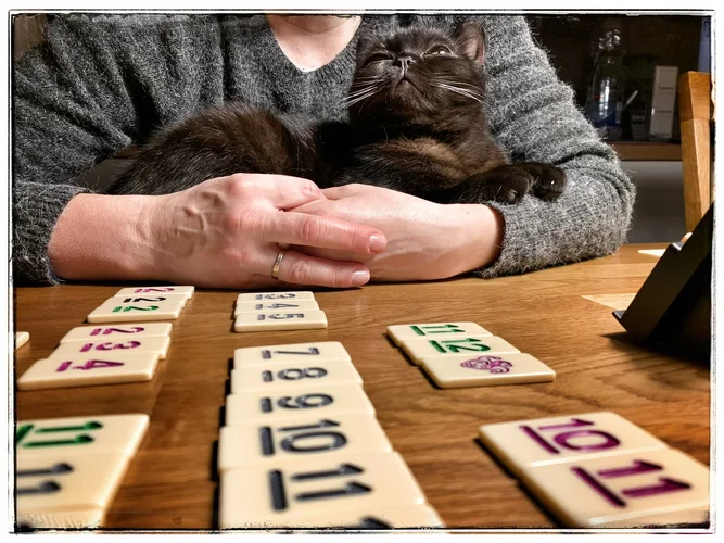 96CA0F26-601A-43C2-8593-7F0045B1C44A.webp 96CA0F26-601A-43C2-8593-7F0045B1C44A.webp