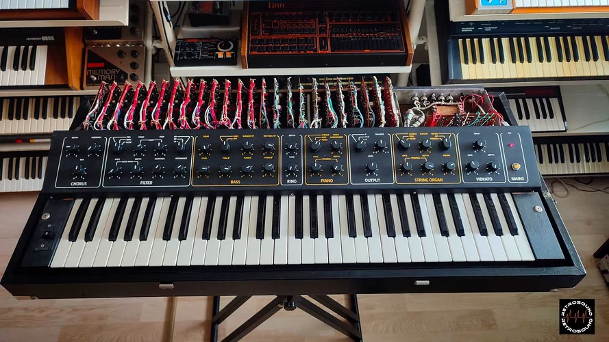 274754407_5254449951254963_6690596558653192188_n (1).jpg 274754407_5254449951254963_6690596558653192188_n (1).jpg