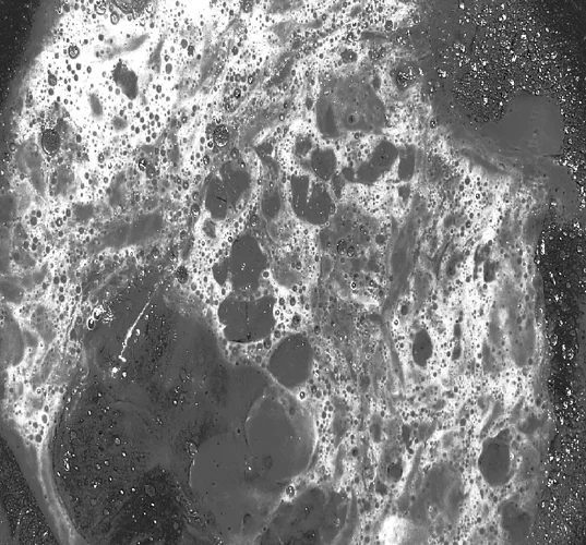 PICT0981 - Kopie (3).webp