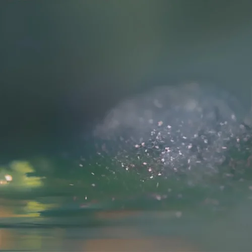 flower glitter glass shrapnel focus -iStock -17f.jpg