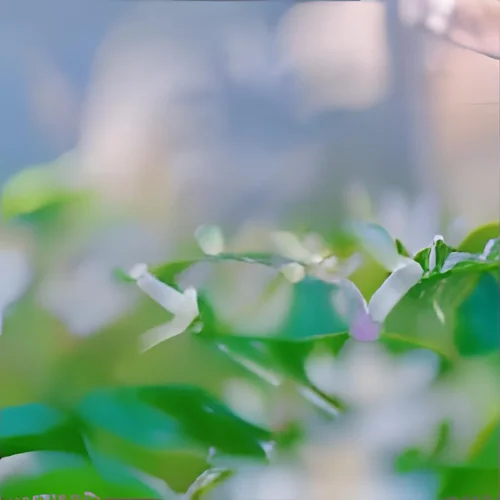 flower glitter glass shrapnel focus -iStock -2.jpg