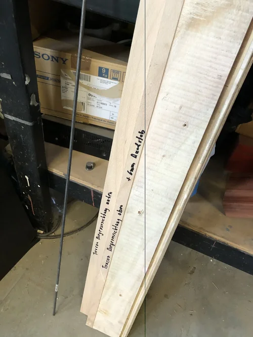 Foto 19.03.22, 18 19 35.webp Foto 19.03.22, 18 19 35.webp