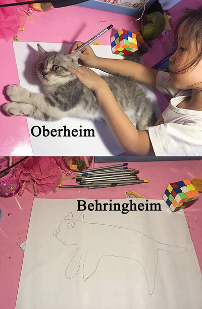 oberheim_behringheim.jpg