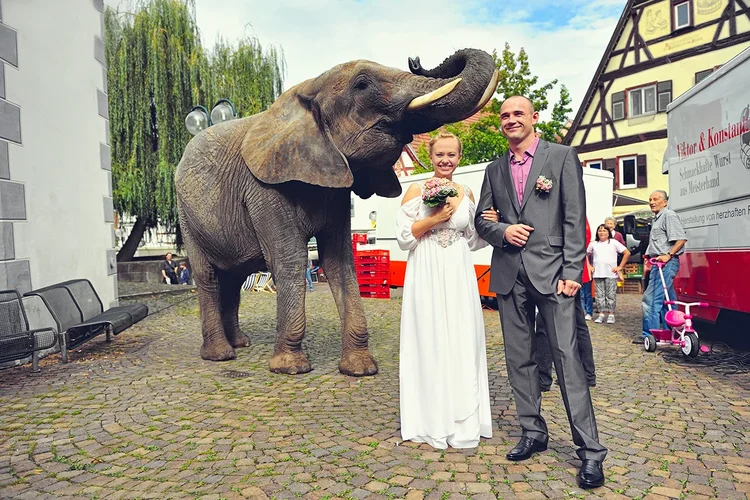 _PIC6593-2.jpg _PIC6593-2.jpg