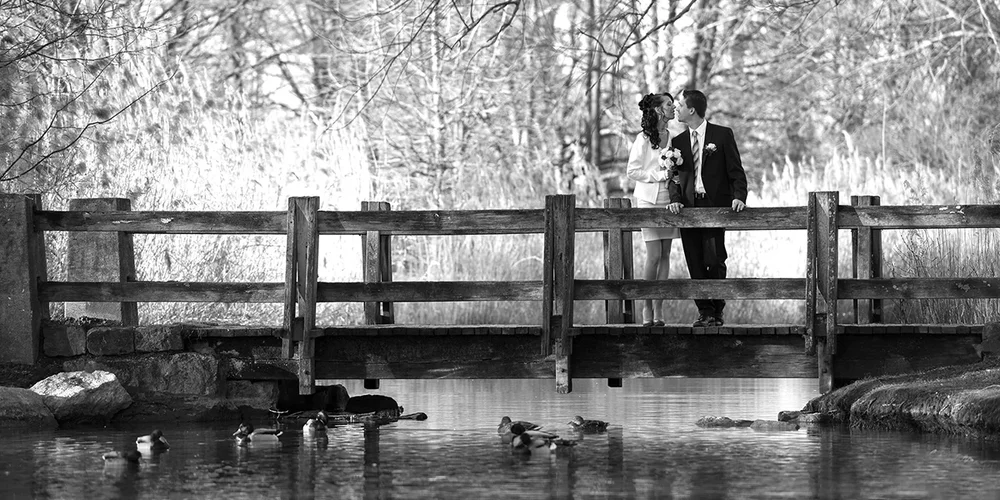 DSC_4432 16 9.jpg DSC_4432 16 9.jpg