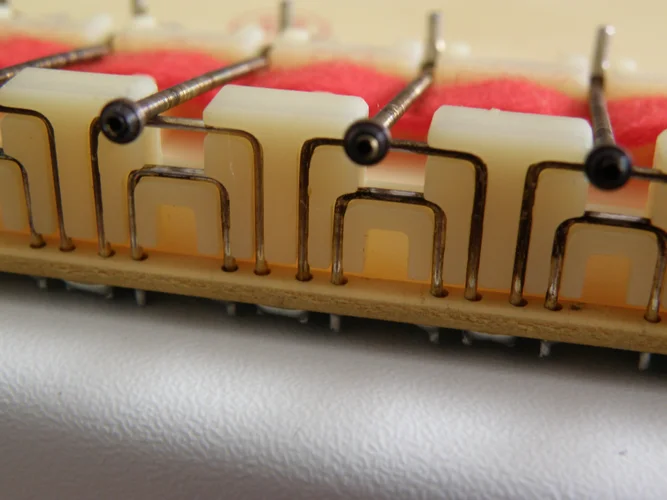 P5160002.webp P5160002.webp