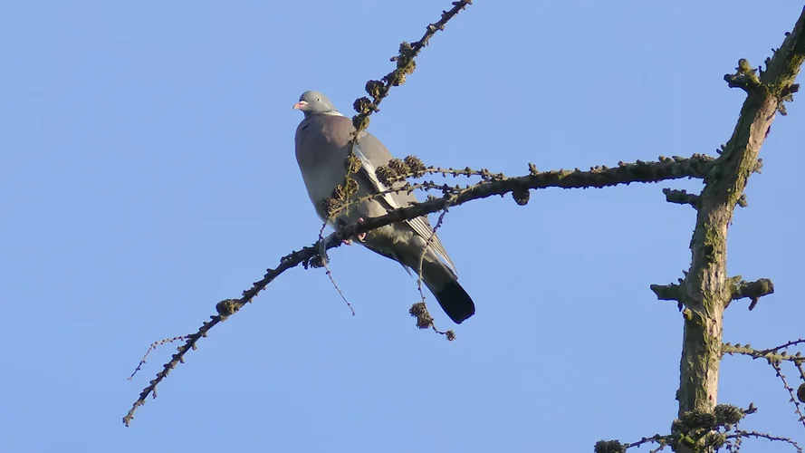 220515_0270_1280x720.webp 220515_0270_1280x720.webp