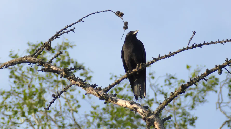 220515_0299_1280x720.webp 220515_0299_1280x720.webp