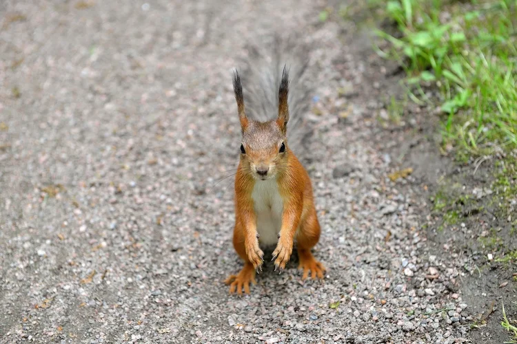 DSC_1203_2.jpg DSC_1203_2.jpg