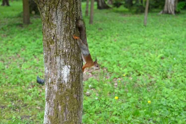 DSC_0691.jpg DSC_0691.jpg