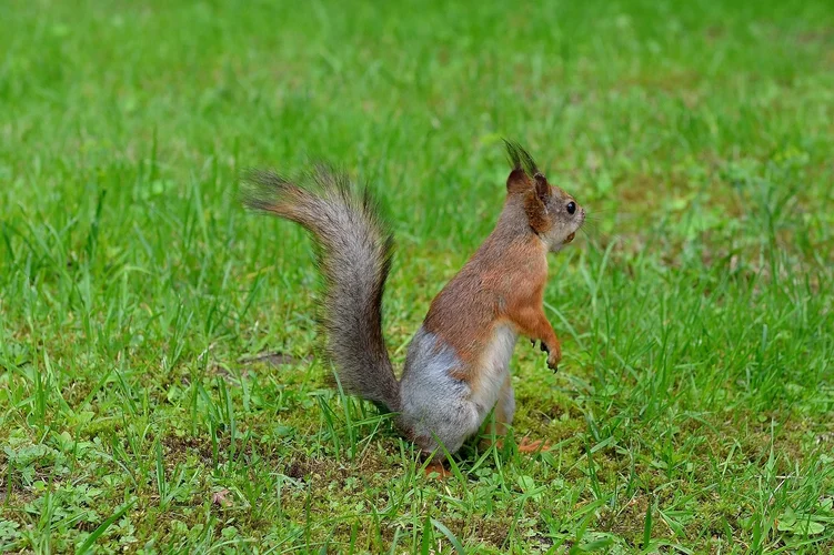 DSC_0681.jpg DSC_0681.jpg