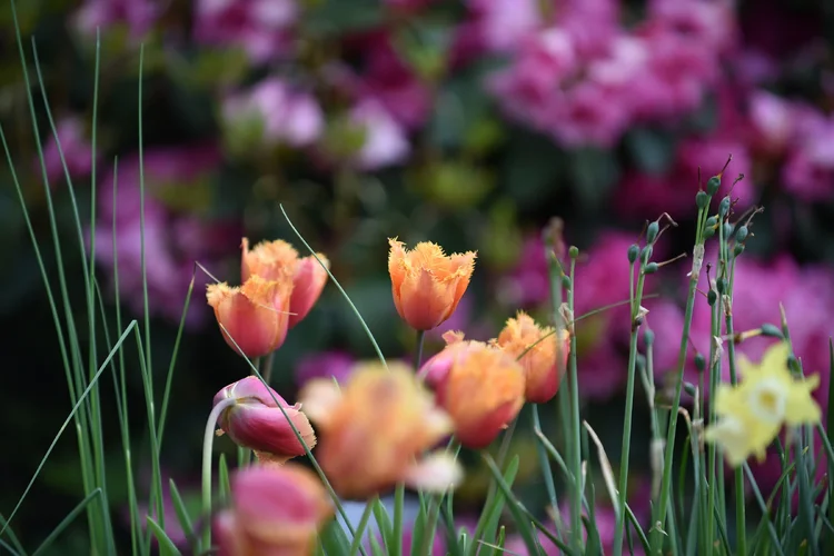 DSD_1179.webp DSD_1179.webp