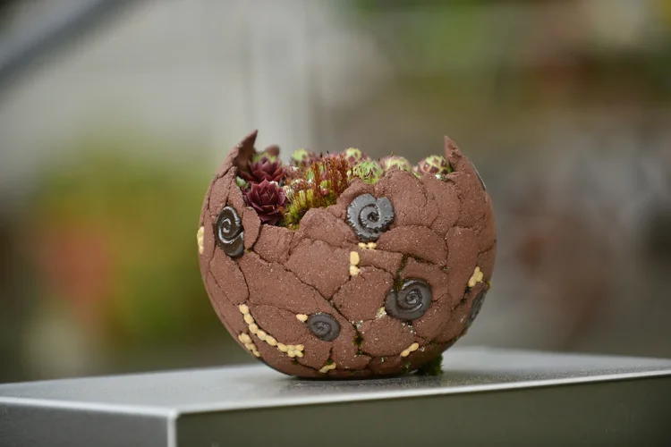 DSD_1183.webp DSD_1183.webp