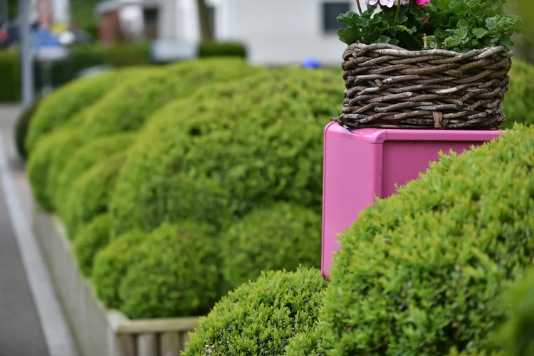 DSD_1186.webp DSD_1186.webp