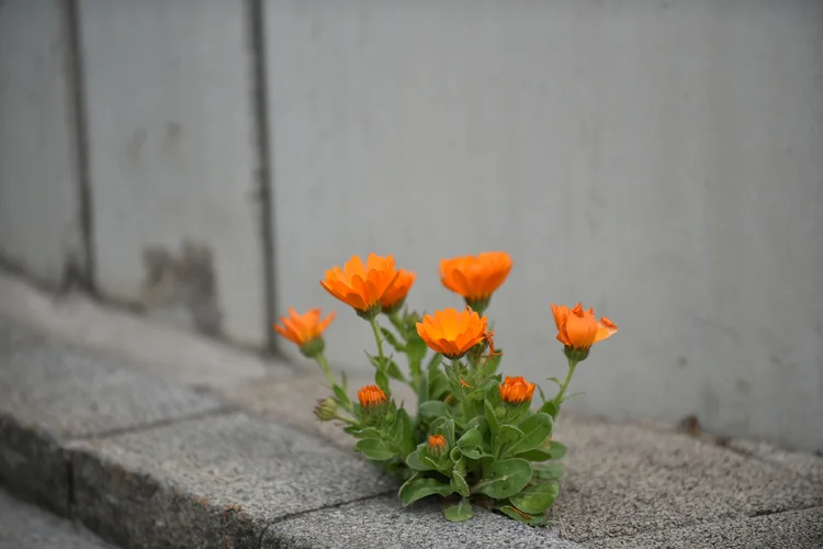 DSD_1197.webp DSD_1197.webp