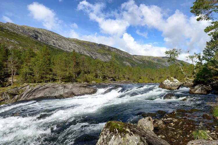 DSC_1863.webp DSC_1863.webp