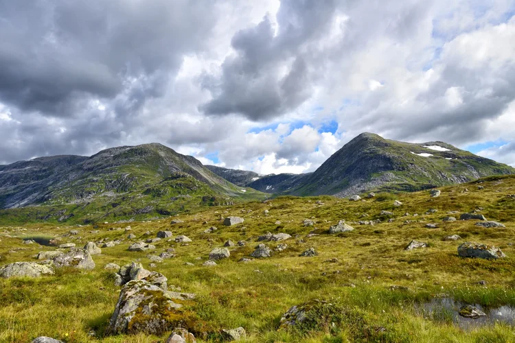 DSC_1870.webp DSC_1870.webp