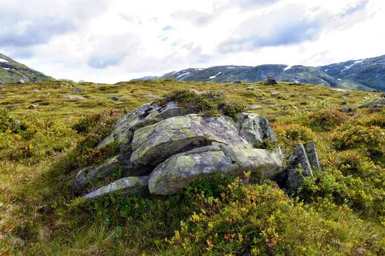 DSC_1871.webp DSC_1871.webp