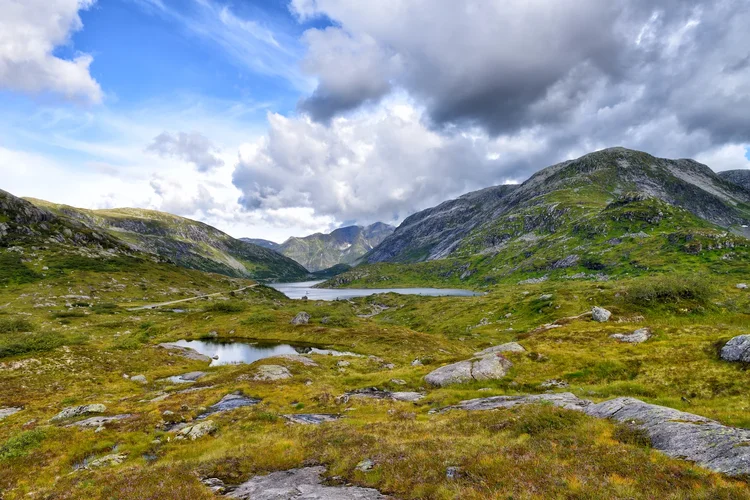 DSC_1872.webp DSC_1872.webp