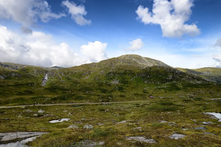 DSC_1877.webp DSC_1877.webp