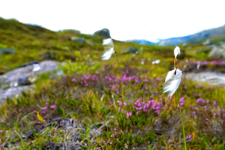 DSC_1879.webp DSC_1879.webp