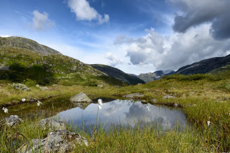 DSC_1881.webp DSC_1881.webp